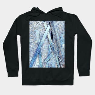 Blue Poles Hoodie